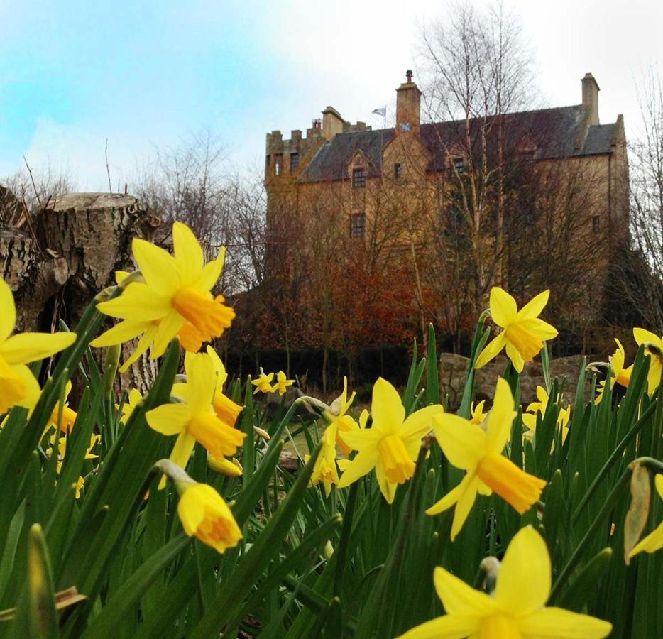 The Manor At Plane Castle Villa Falkirk Eksteriør bilde